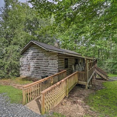 Cozy 'Grey Fox' Cabin Between Boone & Blowing Rock Εξωτερικό φωτογραφία