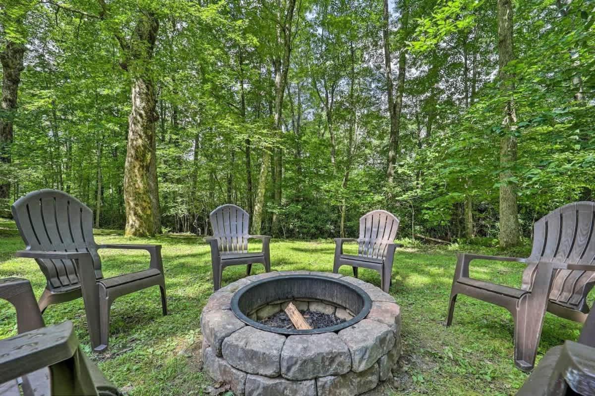 Cozy 'Grey Fox' Cabin Between Boone & Blowing Rock Εξωτερικό φωτογραφία