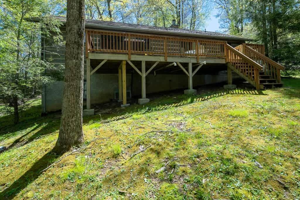 Cozy 'Grey Fox' Cabin Between Boone & Blowing Rock Εξωτερικό φωτογραφία
