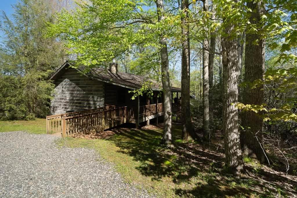 Cozy 'Grey Fox' Cabin Between Boone & Blowing Rock Εξωτερικό φωτογραφία
